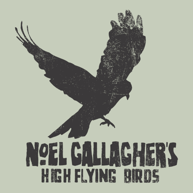Noel Gallagher's High Flying Birds Classic Long Sleeve Tee by linhVisuals | Teevron