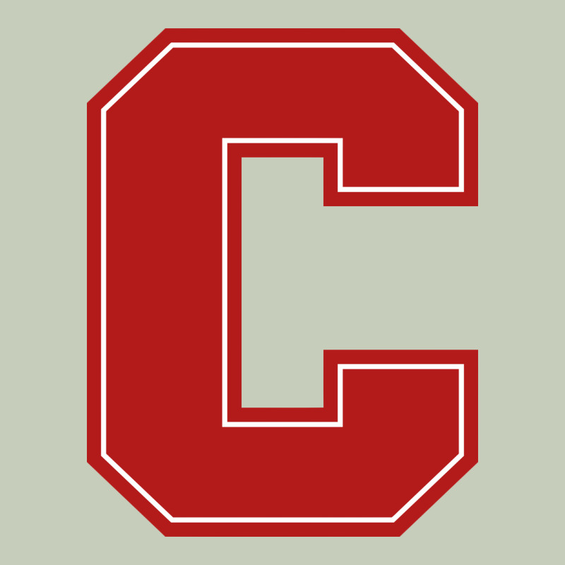 Cornell Big Red Long Sleeve Tee by linhVisuals | Teevron
