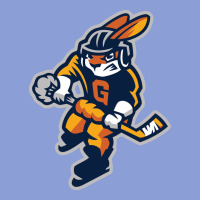 Greenville Swamp Rabbits Long Sleeve Tee | Teevron