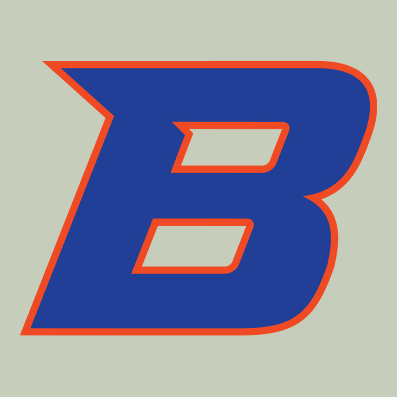 New-boise-state Long Sleeve Tee by linhVisuals | Teevron