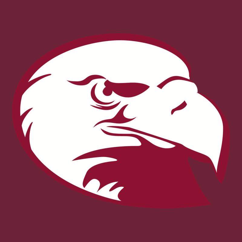 Lock Haven Bald Eagles Long Sleeve Tee by linhVisuals | Teevron