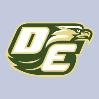 Desoto High School, Desoto Long Sleeve Tee | Teevron