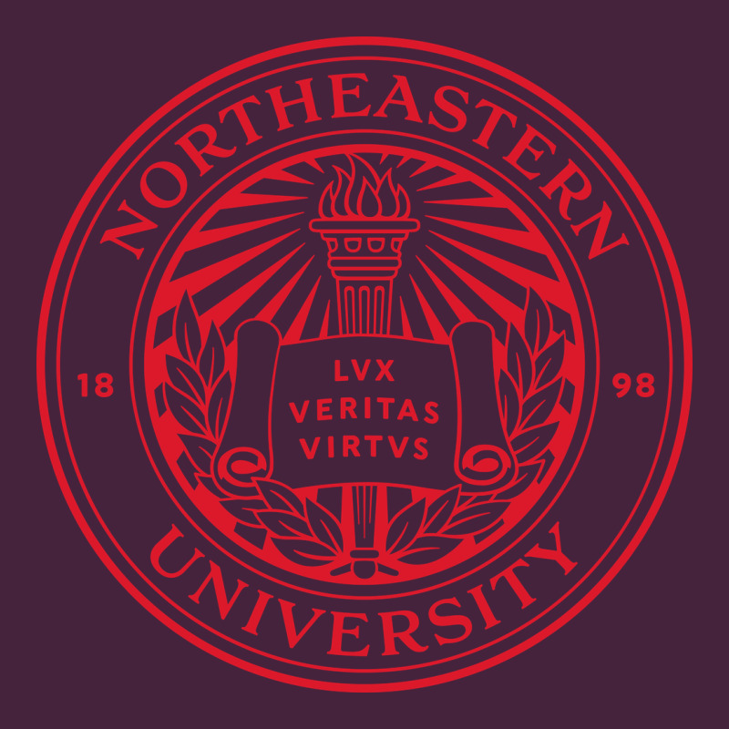 Northeastern University Long Sleeve Tee by linhVisuals | Teevron