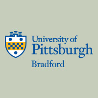 University Of Pittsburgh At Bradford New Long Sleeve Tee | Teevron