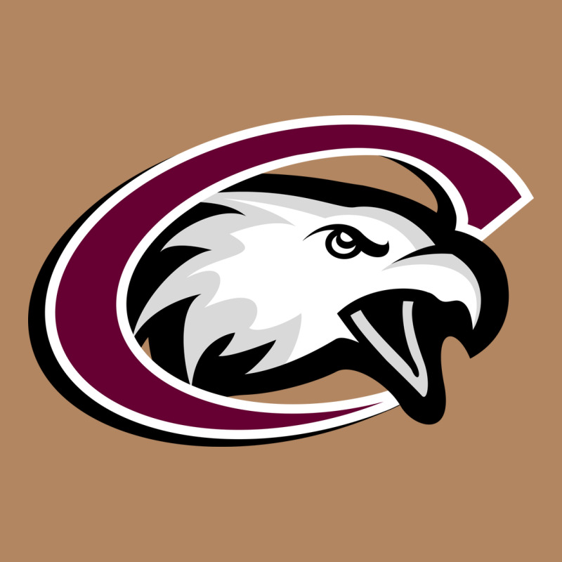 Chadron State Eagles Long Sleeve Tee by linhVisuals | Teevron