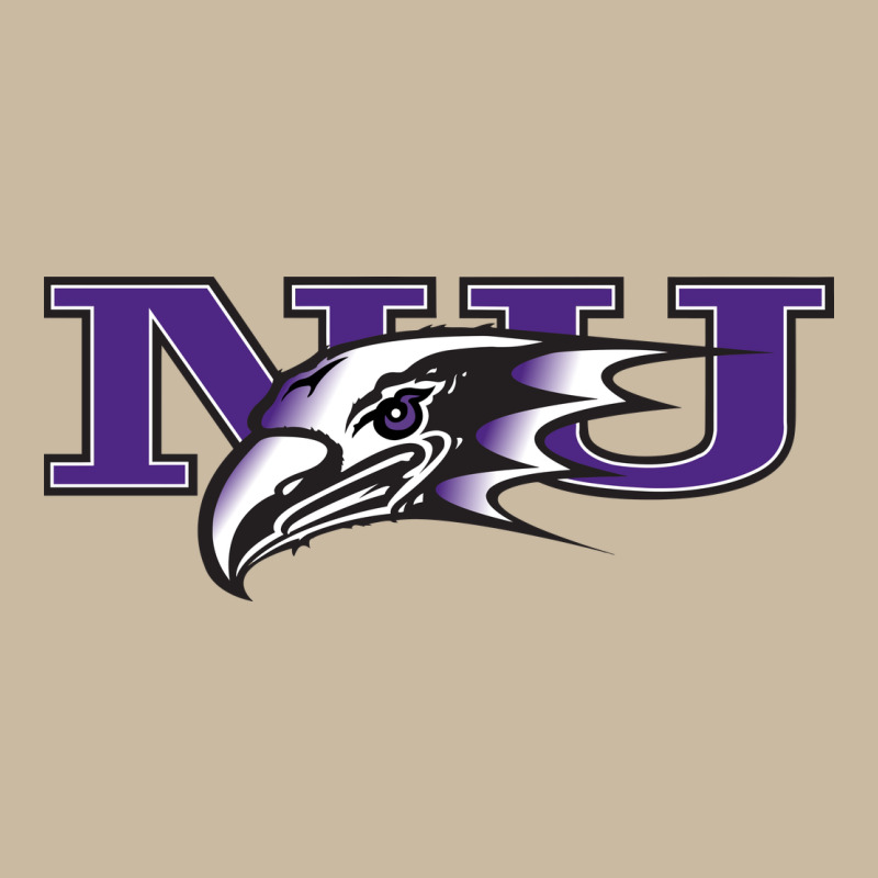 Niagara Purple Eagles Long Sleeve Tee by linhVisuals | Teevron