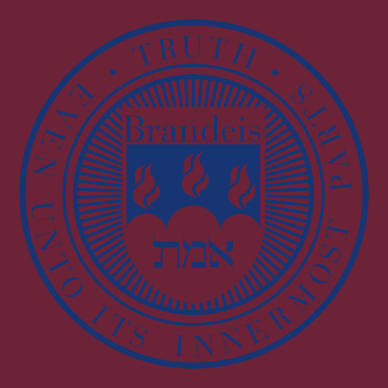 Brandeis University Long Sleeve Tee by linhVisuals | Teevron