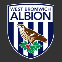the-west-bromwich-albion-pen | Teevron