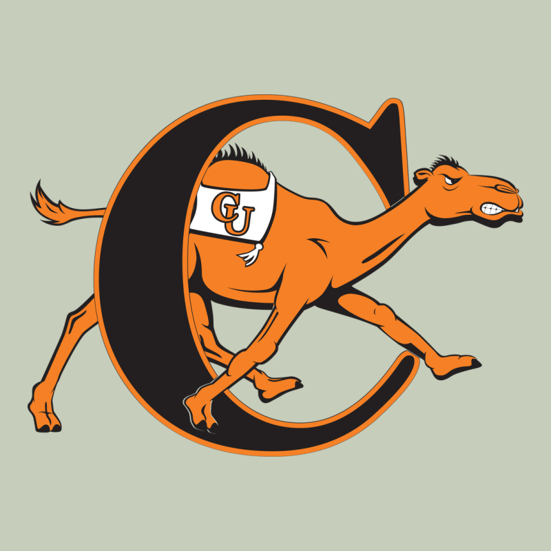 The Campbell Fighting Camels Long Sleeve Tee by linhVisuals | Teevron