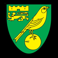 Norwich-fc Long Sleeve Tee | Teevron
