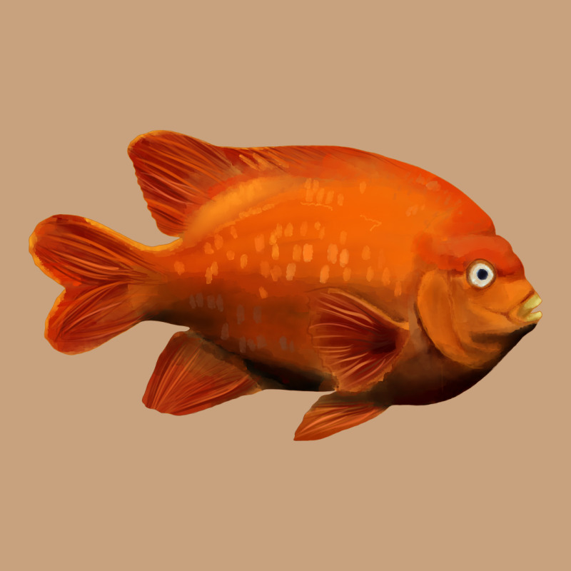 California Garibaldi Fish Vintage Tee by RanaPortraitStore | Teevron