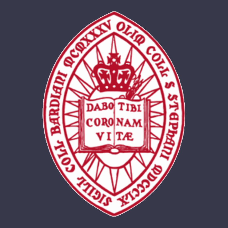 Bard College Long Sleeve Tee by linhVisuals | Teevron