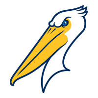 myrtle beach pelicans | Teevron