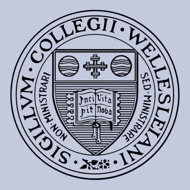 Wellesley College Long Sleeve Tee by linhVisuals | Teevron