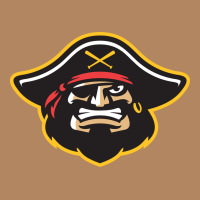 Bradenton Marauders Long Sleeve Tee | Teevron