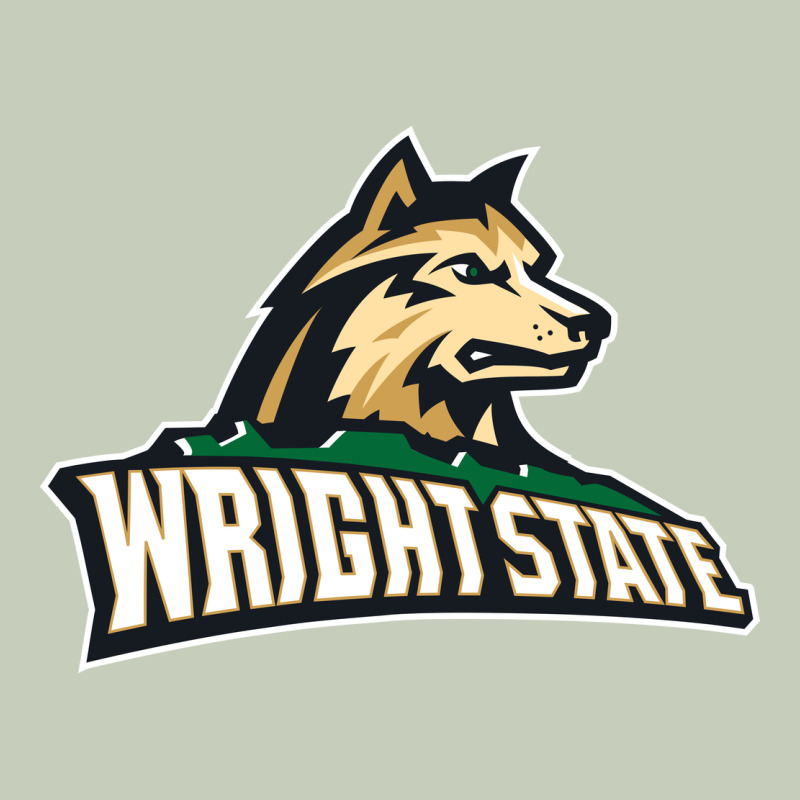 Wright State Long Sleeve Tee by linhVisuals | Teevron
