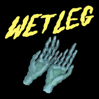 Wetleg Merch Long Sleeve Tee | Teevron
