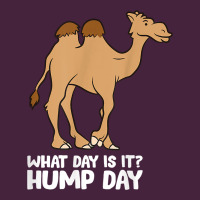 What Day Is It Hump Day Funny Camels Hump Day T Shirt Long Sleeve Tee | Teevron