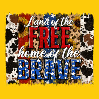 Land Of The Free  Th Of July Brushstroke Premium Hoodie | Teevron