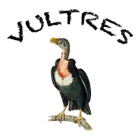 Vultures | Teevron