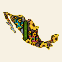 Guerrero Mexico Serape Cactus Sunflower Map Vintage Tee | Teevron