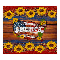usa map | Teevron