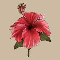 Puerto Rican Hibiscus Flower Illustrations Long Sleeve Tee | Teevron