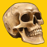 Skull Premium Hoodie | Teevron
