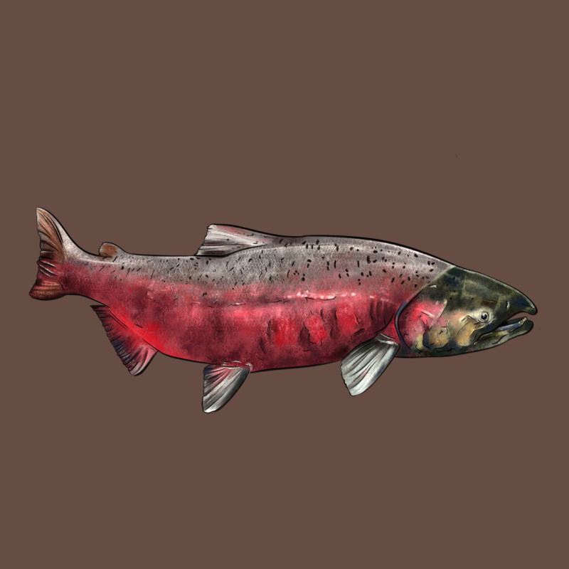 Chinook Salmon Fish Illustrations Long Sleeve Tee by LillyAllenDesigns | Teevron