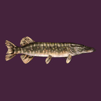 Northern Pike Fish Illustrations Long Sleeve Tee | Teevron