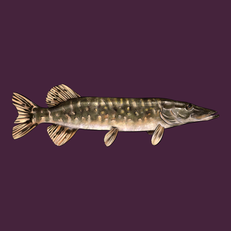 Northern Pike Fish Illustrations Long Sleeve Tee by LillyAllenDesigns | Teevron