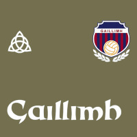 Galway Gaillimh Irish Gaelic Football And Hurling Premium Vintage Hoodie | Teevron
