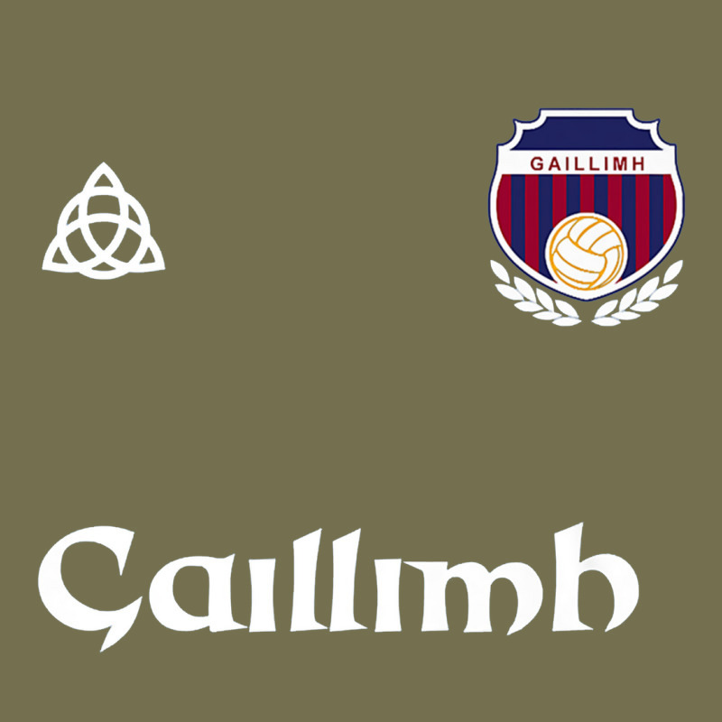 Galway Gaillimh Irish Gaelic Football And Hurling Premium Vintage Hoodie by DesignPulse | Teevron
