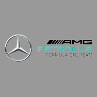 Mercedis F1 Vintage Hoodie | Teevron