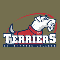 St. Francis Terriers(sfc), Brooklyn Vintage Hoodie | Teevron