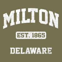 Milton Delaware De Vintage State Athletic Style T Shirt Vintage Hoodie | Teevron
