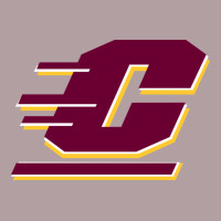 The Central Michigan Of Chippewas Vintage Hoodie | Teevron