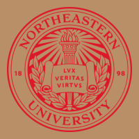 Northeastern University Vintage Hoodie | Teevron