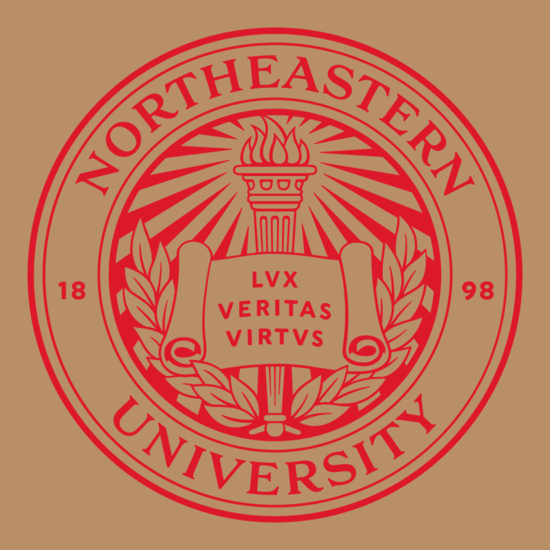 Northeastern University Vintage Hoodie by ArtChic | Teevron