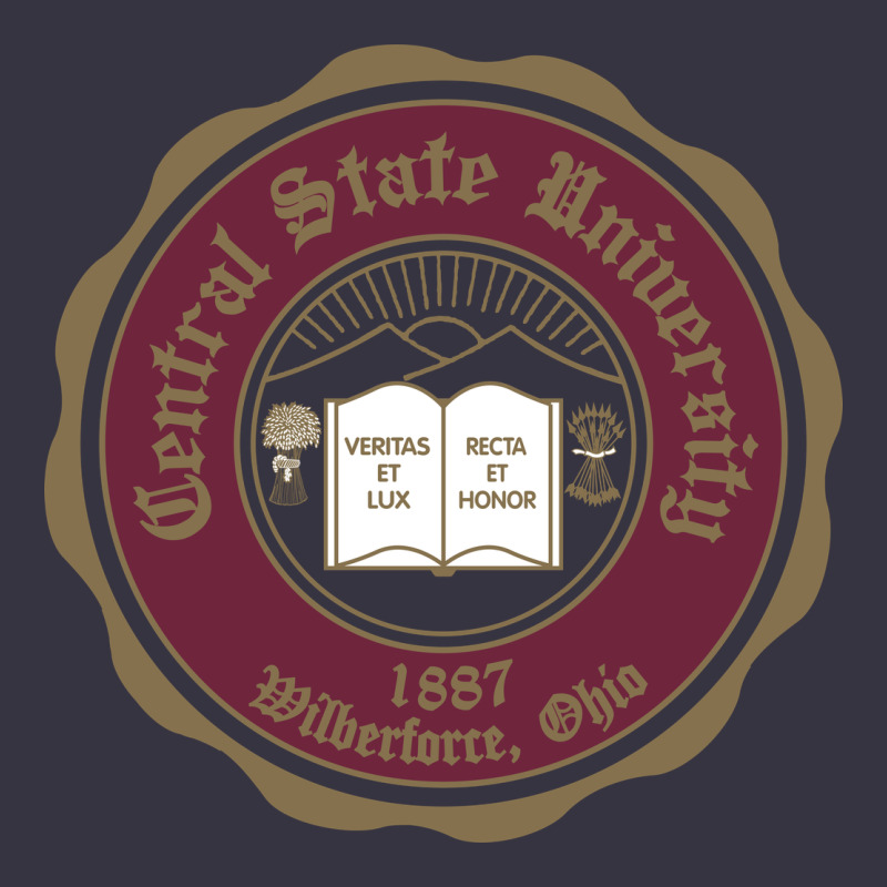 College Of  Central State Wilberfroce 1887 Vintage Hoodie by ArtChic | Teevron