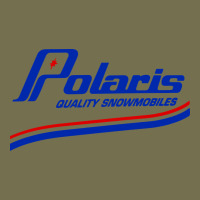 Polaris Vintage Hoodie | Teevron
