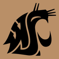 Washington State Cougars Football Vintage Hoodie | Teevron