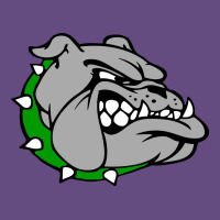 Ashville High School, Ashville Bulldogs Vintage Hoodie | Teevron