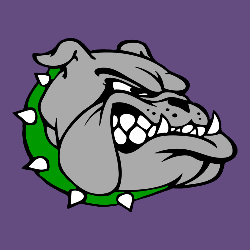 Ashville High School, Ashville Bulldogs Vintage Hoodie by PixelFlow | Teevron