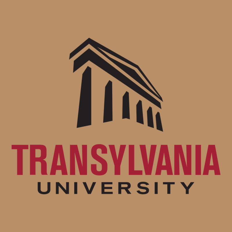 Transylvania University Vintage Hoodie by PixelFlow | Teevron
