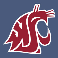 Washington State Cougars Vintage Hoodie | Teevron