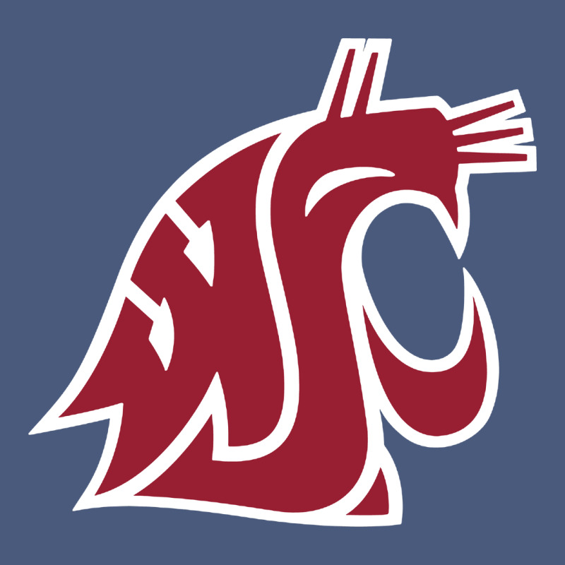 Washington State Cougars Vintage Hoodie by PixelFlow | Teevron