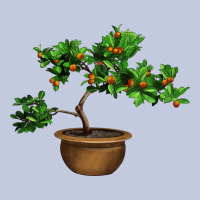 Guava Tree Bonsai Illustrations Long Sleeve Tee | Teevron