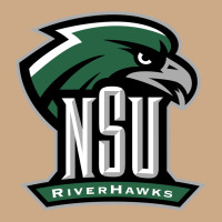 Northeastern State Riverhawks Vintage Hoodie | Teevron