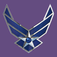 Us Air Force Usaf Vintage Hoodie | Teevron